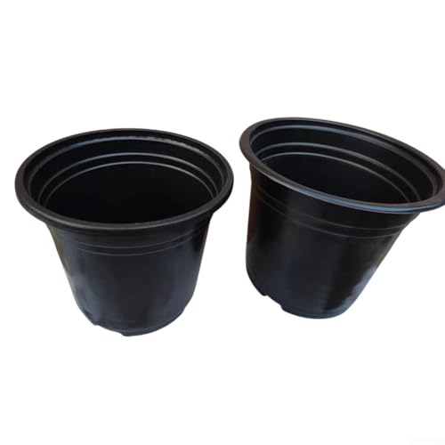 Zuverlässige 100 Kunststoff-Blumentöpfe für den Anbau von Mini-Landschaften und Sukkulentensorten Zuverlässige 100 Kunststoff-Blumentöpfe für den Anbau von Mini-Landschaften und Sukkulentensorten von HOHOVYVY