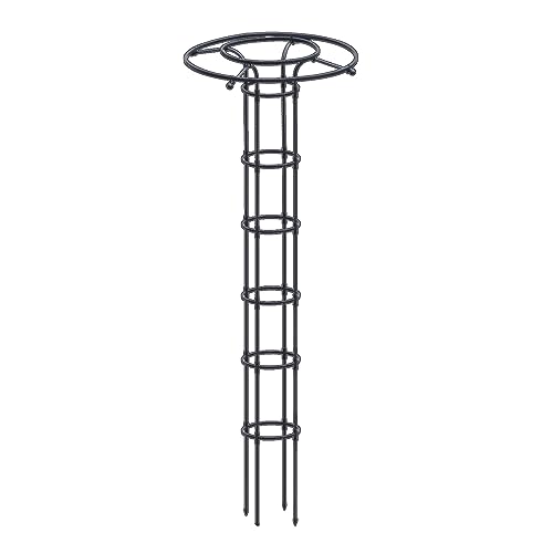 HOKZYHOUSE Rankgitter, vertikaler Metallschirm, Rankgitter, Turmrahmen, Blumenstütze für Garten, Hof (210 cm) von HOKZYHOUSE