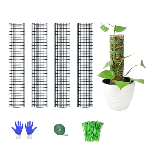 Metall-Moosstange, 38,1 cm, Moosstangen für Pflanzen, Monstera, stapelbare Sphagnum-Moosstange für Pflanzen, Pflanzenstangen für Kletterpflanzen, Arbeiten mit Sphagnum-Moos (4 Stück, 38,1 cm) von HOLANHING