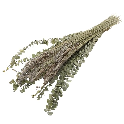 HOLIDYOYO 1 Satz Lavendel Und Eukalyptusblätter Getrocknet Trockenblumen Für Die Vase Kranz Trockenblumen Zum Basteln Trockenblumenstrauß Natürliche Lavendelverzierung Strauß Blumenornament von HOLIDYOYO
