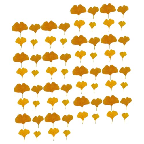 HOLIDYOYO 108 Stück Gefälschte Herbstblattdekorationen Blätter hängend Fallen groß drinnen wandverkleidung Wand polsterung gilbe Ginkgo geht zur Party Simulation Herbstlaub Seidentuch Yellow HOLIDYOYO 108 Stück Gefälschte Herbstblattdekorationen Blätter hängend Fallen groß drinnen wandverkleidung Wand polsterung gilbe Ginkgo geht zur Party Simulation Herbstlaub Seidentuch Yellow von HOLIDYOYO