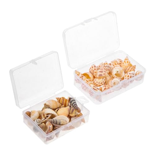 HOLIDYOYO 2 Boxen Natürliche Meeresmuscheln für Aquarium Dekoration DIY Gestaltung Bonsai Schmuck Ungiftige Schneckenhäuser als Fischbecken Zierde und Schutz Ozeanisches Bastelmaterial von HOLIDYOYO