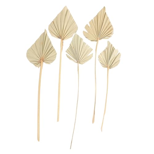 HOLIDYOYO 5 Stück Trockenpalmenblumendekoration Künstliche Palmblätter Palmenblätter Party Freunde Stiele Tropisch Palmblattkunstwanddekoration Light Green Getrocknete Blumen von HOLIDYOYO