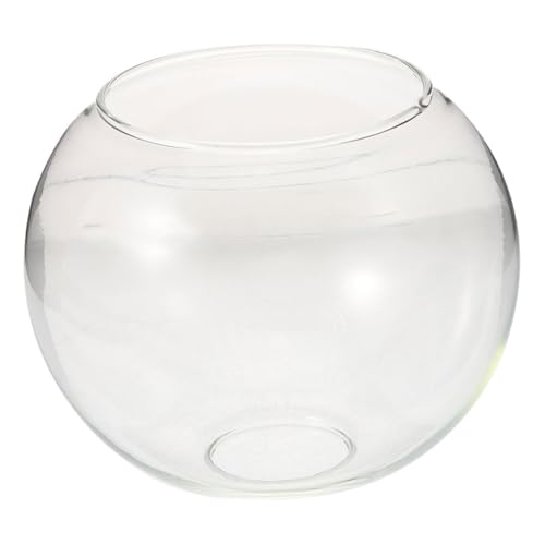 HOLIDYOYO Doppelöffnung Glaskugel Lampenschirm Transparent Glas Pendelleuchte Ersatz Leuchtenschirm Modern Einfacher Lampenwechsel Stilvolles Design für Zuhause und Landhausstil von HOLIDYOYO