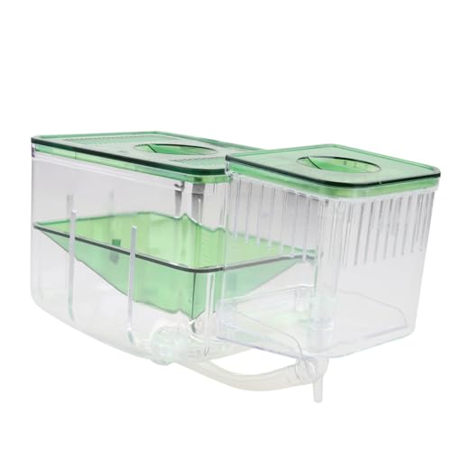HOLIDYOYO Isolierte Zuchtbox für Aquarium aus Transparentem Aufzuchtbecken für Fischbrut und Jungfische Schutz vor Aggressiven Fischen Hohe Überlebensrate Geeignet für Fischzucht und HOLIDYOYO Isolierte Zuchtbox für Aquarium aus Transparentem Aufzuchtbecken für Fischbrut und Jungfische Schutz vor Aggressiven Fischen Hohe Überlebensrate Geeignet für Fischzucht und von HOLIDYOYO
