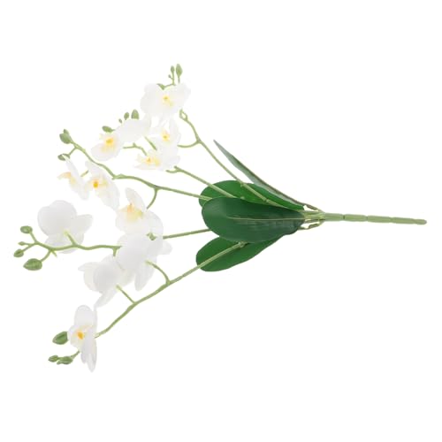 HOLIDYOYO Künstliche Phalaenopsis Orchideen Zweige Realistische Dekoration für Wohnzimmer Büro Hochzeit und Events Pflegeleicht und Langlebig Weißer Kunstblumenstrauß HOLIDYOYO Künstliche Phalaenopsis Orchideen Zweige Realistische Dekoration für Wohnzimmer Büro Hochzeit und Events Pflegeleicht und Langlebig Weißer Kunstblumenstrauß von HOLIDYOYO