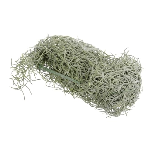 HOLIDYOYO Künstliches Moos Für Terrarium Künstliche Pflanze Zum Aufhängen Getrockneter Blumentopf Landschaftsbau HOLIDYOYO Künstliches Moos Für Terrarium Künstliche Pflanze Zum Aufhängen Getrockneter Blumentopf Landschaftsbau von HOLIDYOYO