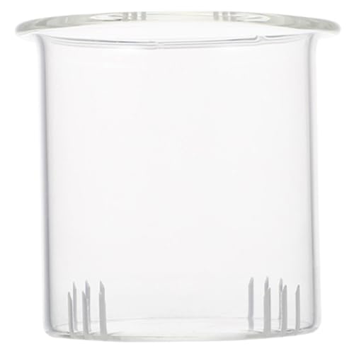 HOLIDYOYO Teesieb aus Glas Abnehmbarer Teefilter für 1000 ml Kanne Teetasse Glasfilter für Losen Tee Austausch Teekannendeckels Steiler Tassen Teekocher Sieb Tee Teezubehör Glas HOLIDYOYO Teesieb aus Glas Abnehmbarer Teefilter für 1000 ml Kanne Teetasse Glasfilter für Losen Tee Austausch Teekannendeckels Steiler Tassen Teekocher Sieb Tee Teezubehör Glas von HOLIDYOYO