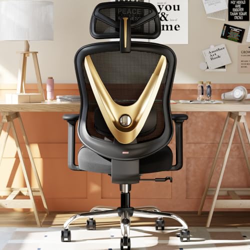 HOLLUDLE Ergonomischer Bürostuhl mit 3D Lendenstütze & 3D verstellbaren Armlehnen, V-Rücken-Design, Bequemer Schreibtischstuhl für Büro & Zuhause, Schwarz-Gold von HOLLUDLE