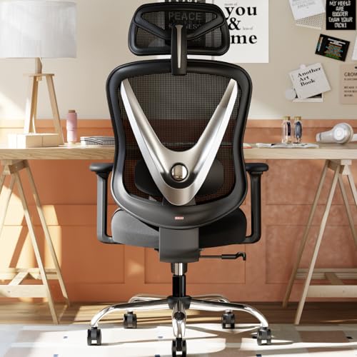 HOLLUDLE Ergonomischer Bürostuhl mit 3D Lendenstütze & 3D verstellbaren Armlehnen – V-förmiges Rücken-Design, bequemer Schreibtischstuhl für Büro & Zuhause, Schwarz HOLLUDLE Ergonomischer Bürostuhl mit 3D Lendenstütze & 3D verstellbaren Armlehnen – V-förmiges Rücken-Design, bequemer Schreibtischstuhl für Büro & Zuhause, Schwarz von HOLLUDLE