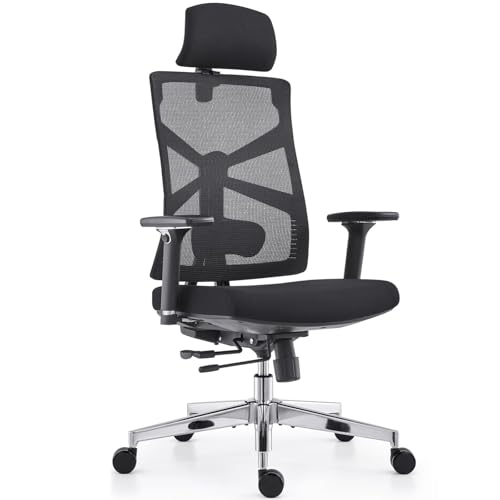 HOLLUDLE Ergonomischer Bürostuhl mit Adaptiver Rückenlehne, Schreibtischstuhl mit 4D Armlehnen, Verstellbarer Sitztiefe, Lendenwirbelstütze und 2D Kopfstütze, Atmungsaktiver Netz-Chefsessel, Schwarz von HOLLUDLE