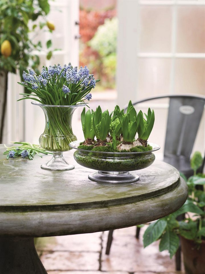 HOLMEGAARD Dekovase HOLMEGAARD Dekovase von HOLMEGAARD