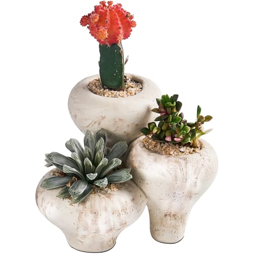Beige Travertin 3-in-1 Kleine Sukkulenten Töpfe Indoor Sukkulenten Pflanzgefäße Niedliche Kaktus Bonsai Blumen Töpfe für Home Decor Büro Garten Mini Kaktus Pflanztopf Modern Dekoratives Geschenk von HOLOLA