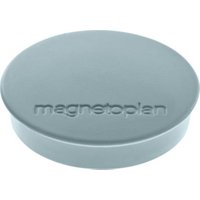 Magnet Basic hellblau D.30xH.8mm Haftkraft 0,7kg von HOLTZ