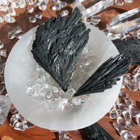 Schwarzer Kyanit Witches Broom Variation von HOLZKRISTALL