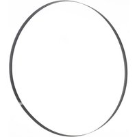 Bandmesser fur Holz 3454x12x0,6mm 6 z Holzmann Bandmesser fur Holz 3454x12x0,6mm 6 z Holzmann von HOLZMANN