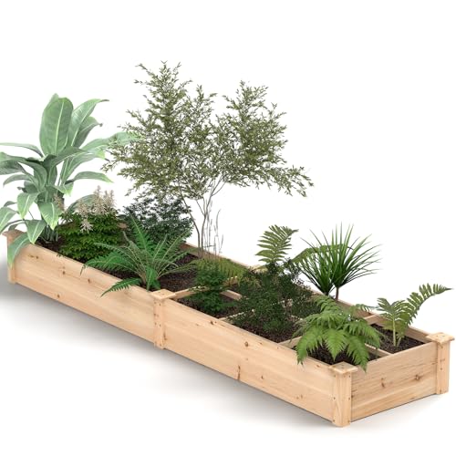 HOMASIS 260L Hochbeet mit 2 Blumenkästen & Trennwänden Tannenholz, Pflanzenkasten mit offenen Boden, Blumenbeet für Gemüse, Obst, Blumen, Gemüsebeet Pflanzbeet Kräuterbeet Gartenbeet groß, 228x62x25cm HOMASIS 260L Hochbeet mit 2 Blumenkästen & Trennwänden Tannenholz, Pflanzenkasten mit offenen Boden, Blumenbeet für Gemüse, Obst, Blumen, Gemüsebeet Pflanzbeet Kräuterbeet Gartenbeet groß, 228x62x25cm von HOMASIS