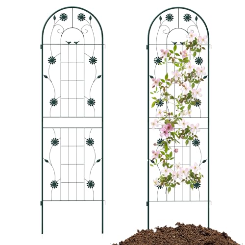 HOMASIS Rankgitter Metall, Spalier für Kletterpflanzen, Rankhilfe zum Stecken, dekorative Gartenspalier Gartenzaun Rankspalier für Rosen Blumen Tomaten (Grün,220x50cm,2) von HOMASIS