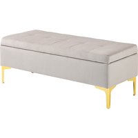 HOMCOM Aufbewahrungsbank - 2-in-1 Gepolsterte Sitzbank aus Samt mit Metallfüßen - 120 x 44 x 44,5 cm Grau   Aosom von HOMCOM