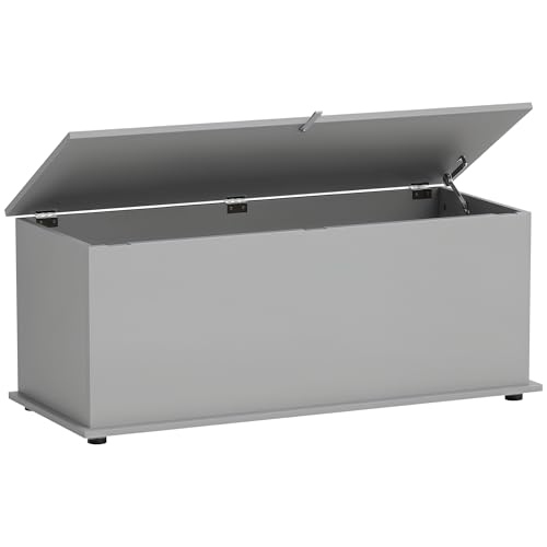 HOMCOM Aufbewahrungsbox, Aufbewahrungsbank mit Klappdeckel und Sicherheitsscharnieren, Schuhbank, Eingangsmöbel, Flur, Schlafzimmer, Wohnzimmer, 100 x 40 x 40 cm, Grau von HOMCOM