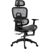 HOMCOM Bürostuhl Ergonomischer Schreibtischstuhl mit Armlehne, Kopfstütze, Lendenwirbelstütze, Höhenverstellbarer Mesh Drehstuhl mit Wippfunktion, Liegefunktion, Fußstütze Schwarz Aosom HOMCOM Bürostuhl Ergonomischer Schreibtischstuhl mit Armlehne, Kopfstütze, Lendenwirbelstütze, Höhenverstellbarer Mesh Drehstuhl mit Wippfunktion, Liegefunktion, Fußstütze Schwarz Aosom von HOMCOM