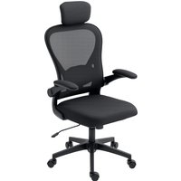 HOMCOM Bürostuhl Ergonomischer Schreibtischstuhl mit Hochklappbaren Armlehnen, Verstellbarer Lendenwirbelstütze, Kopfteil, Höhenverstellbarer Drehstuhl mit Wippfunktion, Netzbespannung Schwarz Aosom HOMCOM Bürostuhl Ergonomischer Schreibtischstuhl mit Hochklappbaren Armlehnen, Verstellbarer Lendenwirbelstütze, Kopfteil, Höhenverstellbarer Drehstuhl mit Wippfunktion, Netzbespannung Schwarz Aosom von HOMCOM