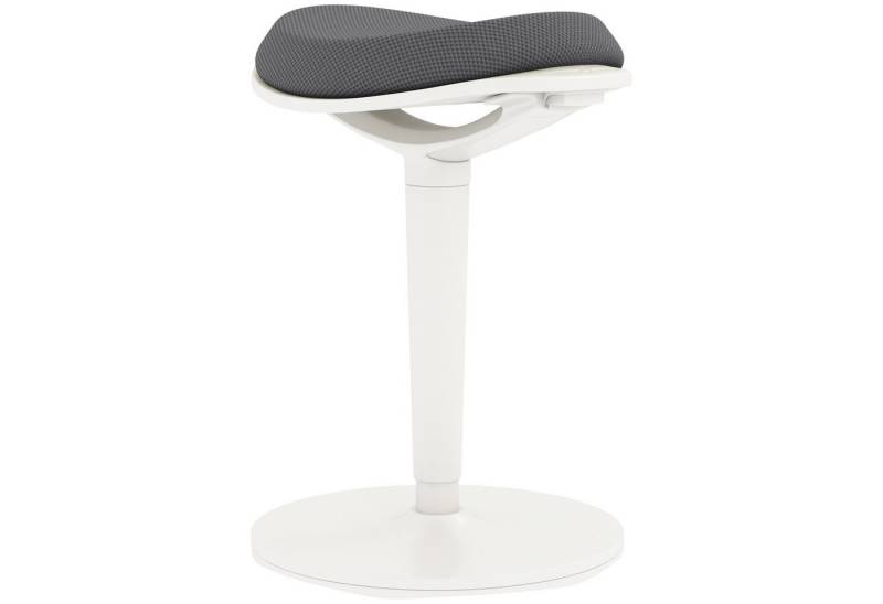 HOMCOM Schreibtischstuhl 56,5-71,5 cm höhenverstellbar Sitzhocker, ergonomischer Bürohocker (Drehstuhl, 1 St), für Büro, Arbeitszimmer, Mesh, Grau von HOMCOM