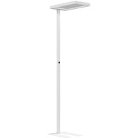 HOMCOM Stehlampe, Dimmbar Stehleuchte mit Fernbedienung Timing-Funktion Nachtlicht 1,96 m 3000-6500 K Standleuchte 40W 1560LM Leselampe Stehend für Schlafzimmer Wohnzimmer   Aosom HOMCOM Stehlampe, Dimmbar Stehleuchte mit Fernbedienung Timing-Funktion Nachtlicht 1,96 m 3000-6500 K Standleuchte 40W 1560LM Leselampe Stehend für Schlafzimmer Wohnzimmer   Aosom von HOMCOM