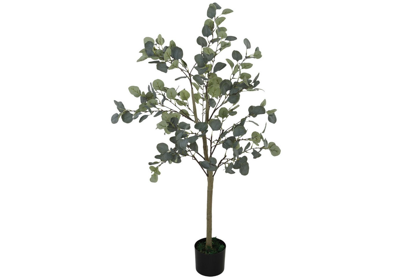 Kunstpflanze Künstlicher Eucalyptus Baum, HOMCOM, Höhe 150 cm, Kunstbaum wie echt mit Kunstgras, Zement Kunstpflanze Künstlicher Eucalyptus Baum, HOMCOM, Höhe 150 cm, Kunstbaum wie echt mit Kunstgras, Zement von HOMCOM