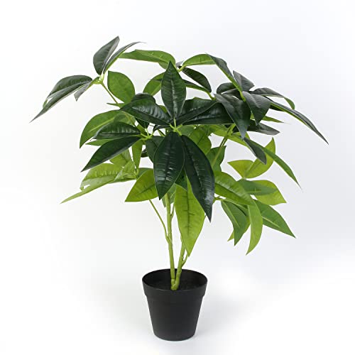 HOME DECO FACTORY – Hd4159 – Künstliche Pflanze im Topf, 60 cm, Objekt, Dekoration, künstliche Pflanze von HOME DECO FACTORY