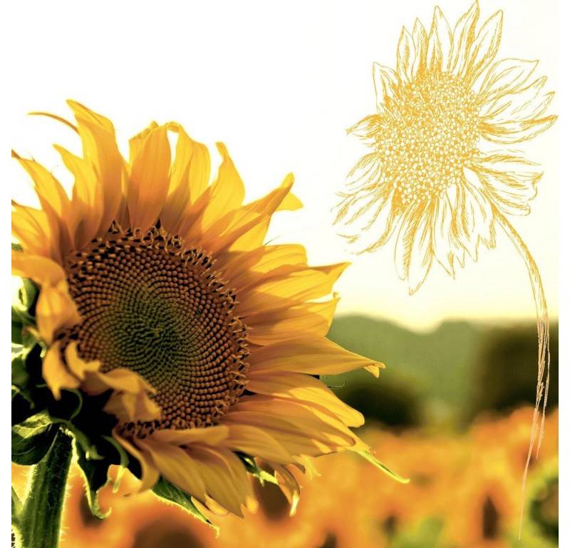 HOME FASHION Papierserviette 20 Servietten Dusk Sunflower 33x33cm, (20 St) von HOME FASHION