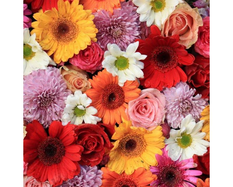 HOME FASHION Papierserviette 20 Servietten Gerbera 33x33cm, (20 St) von HOME FASHION