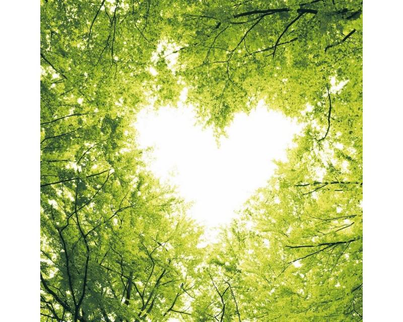 HOME FASHION Papierserviette 20 Servietten Nature Love 33x33cm, (20 St) von HOME FASHION