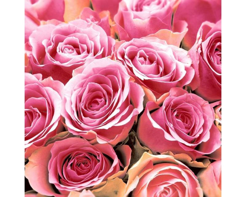 HOME FASHION Papierserviette 20 Servietten Pink Roses 33x33cm, (20 St) von HOME FASHION