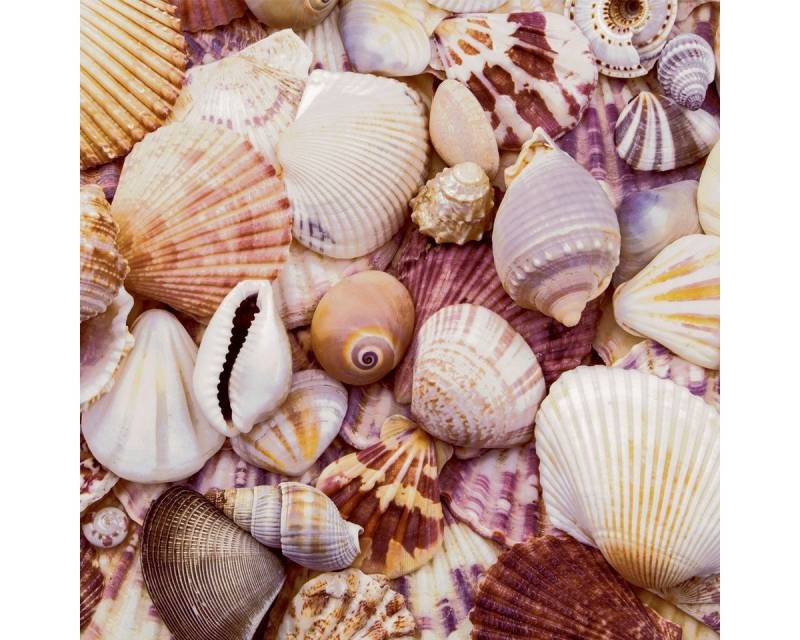 HOME FASHION Papierserviette 20 Servietten Seashells 33x33cm, (20 St) von HOME FASHION