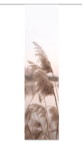 HOME WOHNIDEEN 84125 | Schiebegardine TRAWY, blickdichter Dekostoff, Gras-/Natur-Motiv, 245 x 60 cm (Höhe x Breite), Farbe: Natur von HOME WOHNIDEEN