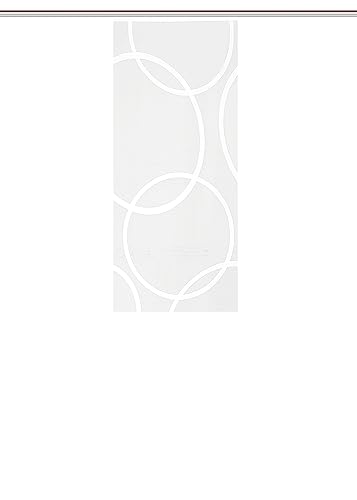 HOME WOHNIDEEN Schiebegardine 84201 PINALE TRANSPARENT, weiß, Jaquard, vers. Größen, Farbe:weiß, Größe:145 x 57 cm, Anzahl:1x von HOME WOHNIDEEN