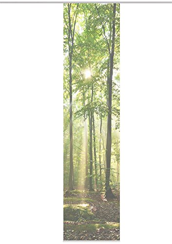 Vision S Schiebevorhang Digitaldruck Bambus-Optik Floresta Mitte 260 x 60 cm Grün von HOME WOHNIDEEN