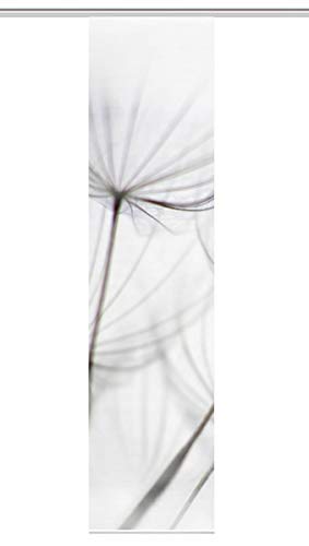 Vision S Schiebevorhang Digitaldruck Bambus-Optik "Strelia Links" 260 x 60 cm Grau von HOME WOHNIDEEN