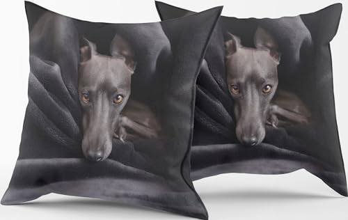 HOME ZEN HOUSEHOLD LINEN 1 Paar Kissenbezüge für Dekoration Art Puppy, Größe 42 x 42 cm, mit Reißverschluss, Digitaldruck, mit Freund 4 Pfoten (Windhund) von HOME ZEN HOUSEHOLD LINEN