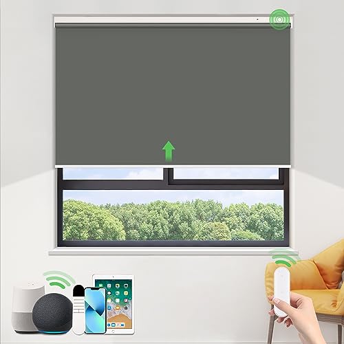 HOMEDEMO Elektrische Rollos Wiederaufladbare Verdunklungsrollo mit Motor & Fernbedienung, Dunkelgrau 95x110cm(BxH), Rollo Innen ohne Bohren klemmfix/mit Bohren, Smart Rollo mit Alexa kompatibel HOMEDEMO Elektrische Rollos Wiederaufladbare Verdunklungsrollo mit Motor & Fernbedienung, Dunkelgrau 95x110cm(BxH), Rollo Innen ohne Bohren klemmfix/mit Bohren, Smart Rollo mit Alexa kompatibel von HOMEDEMO