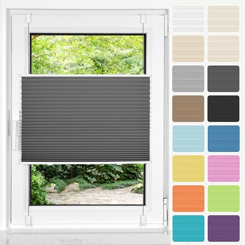 HOMEDEMO Plissee ohne Bohren Klemmfix, B85 x H160 cm Anthrazit, Faltrollo Plisseerollo Jalousie für Tür & Fenster Blickdicht Sichtschutz Sonnenschutz Rollo HOMEDEMO Plissee ohne Bohren Klemmfix, B85 x H160 cm Anthrazit, Faltrollo Plisseerollo Jalousie für Tür & Fenster Blickdicht Sichtschutz Sonnenschutz Rollo von HOMEDEMO