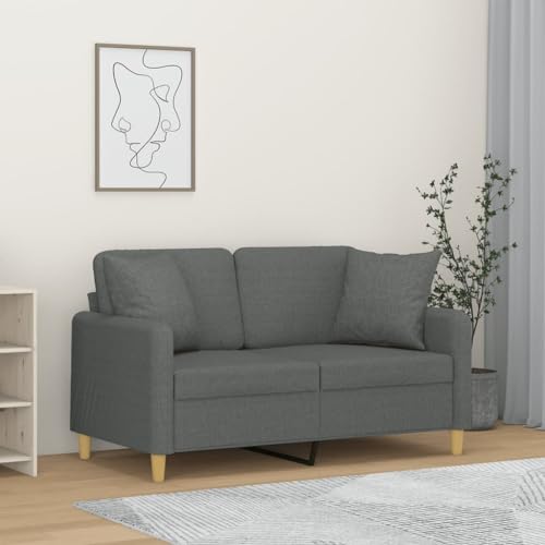 HOMEELIKE 2-Sitzer-Sofa mit Zierkissen Dunkelgrau 120 cm Stoff HOMEELIKE 2-Sitzer-Sofa mit Zierkissen Dunkelgrau 120 cm Stoff von HOMEELIKE