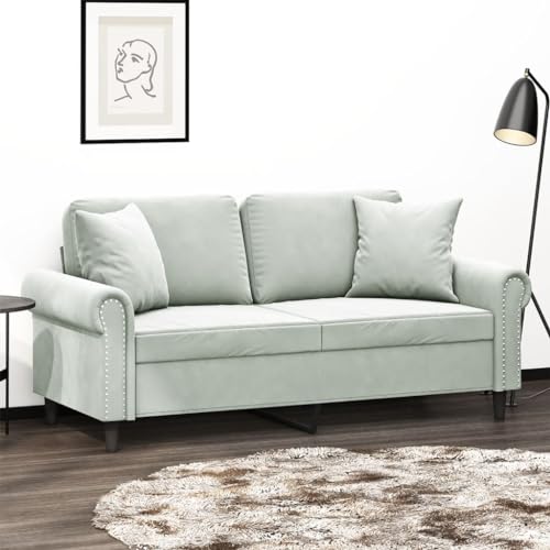 HOMEELIKE 2-Sitzer-Sofa mit Zierkissen Hellgrau 140 cm Samt HOMEELIKE 2-Sitzer-Sofa mit Zierkissen Hellgrau 140 cm Samt von HOMEELIKE