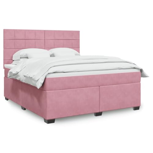 HOMEELIKE Boxspringbett Set 180x200 cm Mit Taschenfederkernmatratze Rosa Weiches Samt Komfortabel von HOMEELIKE