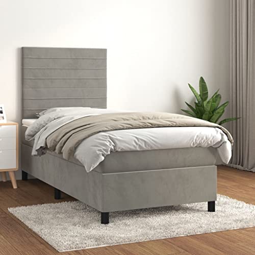 HOMEELIKE Boxspringbett mit Matratze Hellgrau 80x200 cm Samt von HOMEELIKE