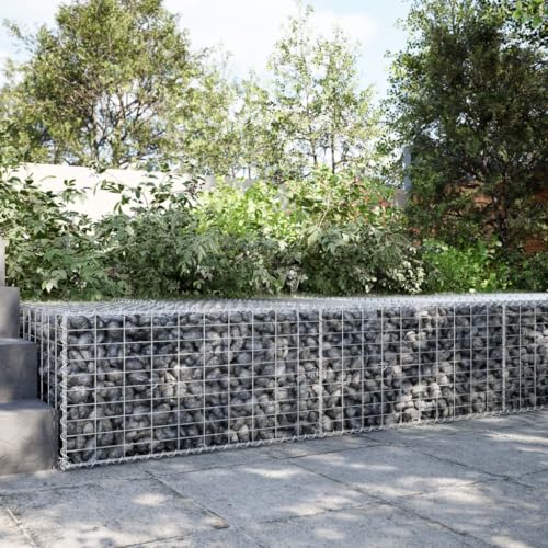 HOMEELIKE Gabione mit Deckel 200x100x50 cm Verzinktes Eisen HOMEELIKE Gabione mit Deckel 200x100x50 cm Verzinktes Eisen von HOMEELIKE