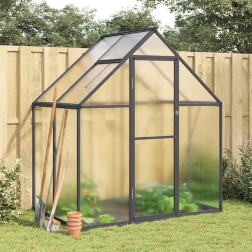 HOMEELIKE Gew?chshaus mit Fundamentrahmen Anthrazit 169x114x195 cm Alu von HOMEELIKE