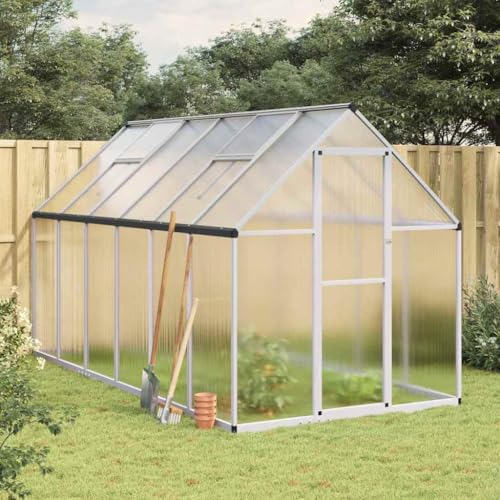 HOMEELIKE Gew?chshaus mit Fundamentrahmen Silber 334x169x195cm Aluminimum von HOMEELIKE