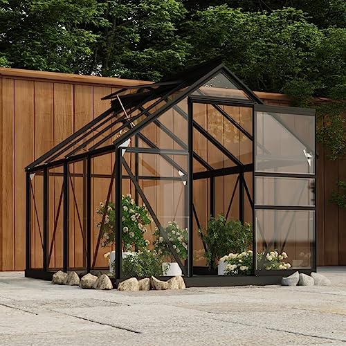 HOMEELIKE Glas Gew?chshaus Anthrazit 155x200,5x191 cm Aluminium von HOMEELIKE